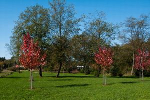 Hoquarton Park